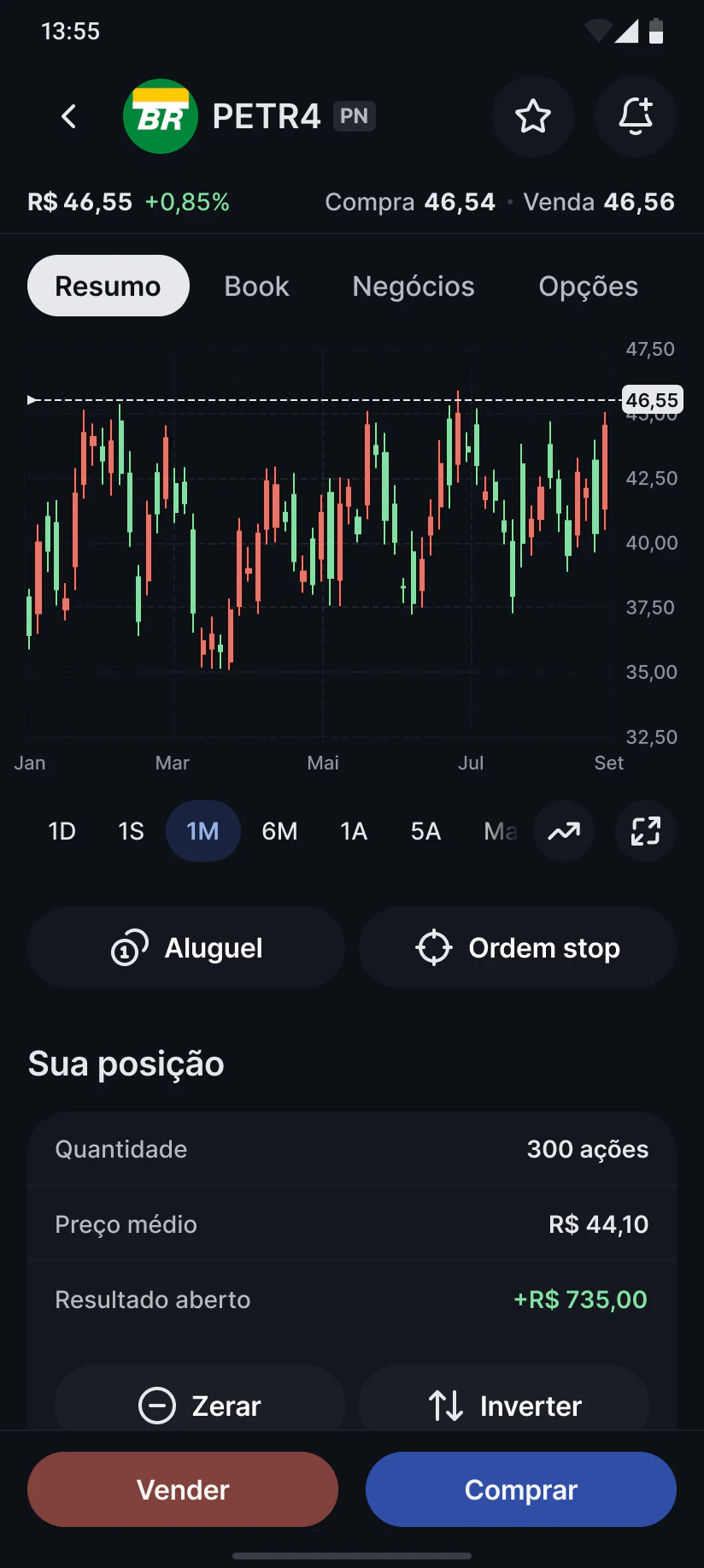 Tela do ativo no perfil moderado ou arrojado: gráfico de candles e abas de resumo, book, negócios e opções.